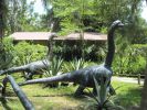 PICTURES/Dinosaur World Florida/t_IMG_6062.jpg